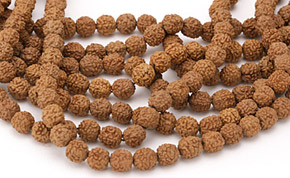 Rudraksha Beads