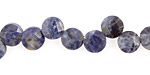 Sodalite Faceted Coin Drop 8mm
