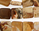 Conglomerate Jasper Flat Square 12mm