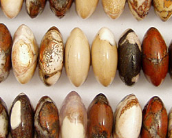 Conglomerate Jasper Saucer 15mm