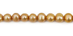 Champagne Potato 6x6.5-7mm
