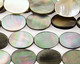 Black Shell Flat Oval 14x10mm