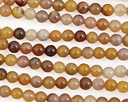 Brazil Petrified Wood Round 4mm
