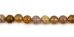 Brazil Petrified Wood Round 6mm