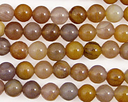 Brazil Petrified Wood Round 6mm