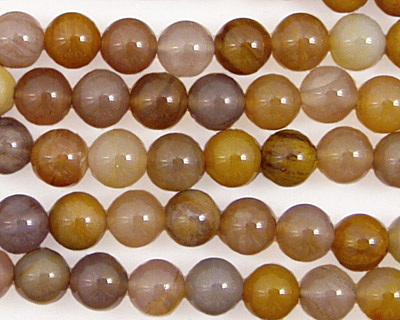 Brazil Petrified Wood Round 6mm