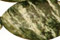 Green Zebra Jasper