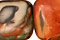 Brazil Wild Horse Jasper