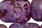 Sugilite Jasper
