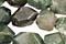 Moss Agate