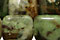Petrified Green Opal