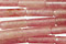 Ruby Quartz