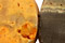 Mexican Sunflower Agate
