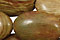 Oak Jasper