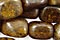 Bronzite