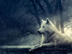 whitewolfe