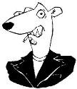 Steve P