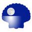 BayMoonDesign