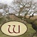 windbent