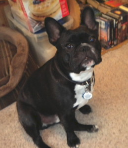 Buster Browns MoM