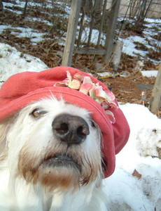 Snowy
