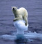 Global Warming Sucks