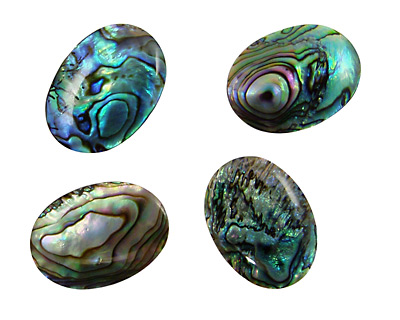 Abalone Oval Cabochon 20-22x30mm