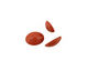 Red Jasper Oval Cabochon 13x18mm