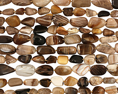 Black Petrified Wood Tumbled Nugget 12-25x11-13mm