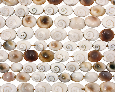 Conch Shell Oval 16-22x12-17mm