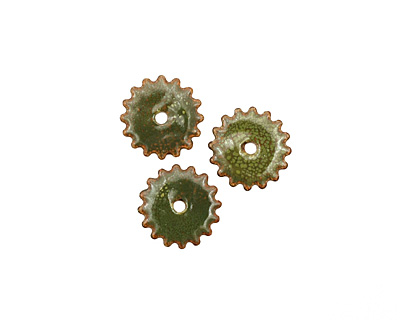 C-Koop Enameled Metal Olive Small Closed Gear 16mm