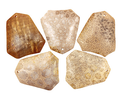 Fossil Coral Ladder Pendant 38-40x44-45mm