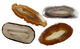 Agate Oval Slab Cabochon 28-36x70-91mm
