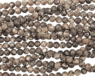 Turritella Agate (matte) Round 7-8mm