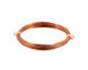 See the Coil