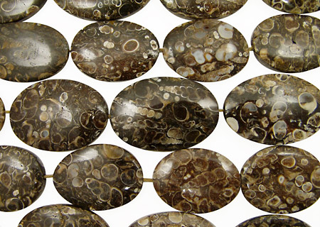 Turritella Agate Flat Oval 38-45x25-31mm