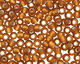TOHO Smoky Topaz (with Frosted Silver Lining) Round 11/0 Seed Bead
