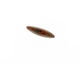 Golden Zebra Jasper Flat Teardrop 38x28mm