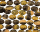 Mexican Sunflower Agate Tumbled Oval Nugget 22-28x16-20mm