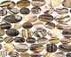 Australian Zebra Jasper Flat Freeform Oval 26-41x15-21mm