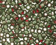 TOHO Olivine (with Frosted Silver & Pink Lining) Round 11/0 Seed Bead