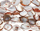 Gray/Red Druzy Agate Natural Edge Freeform Pieces 22-35x18-35mm