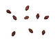 African Paper (forest, magenta, beige) Rice 9-10x6mm