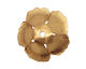 Brass 5 Petal Flower Bead Cap 9x23mm