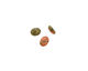 Unakite Oval Cabochon 6x8mm