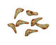 Kylie Parry Ceramic Spring Green Tiny Stone Bird 8x19mm