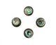 Abalone Round Cabochon 18mm