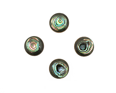 Abalone Round Cabochon 18mm