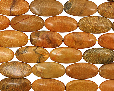 Fossil Coral (yellow) Flat Oval 40x20mm
