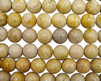 Fossil Coral Round 20mm